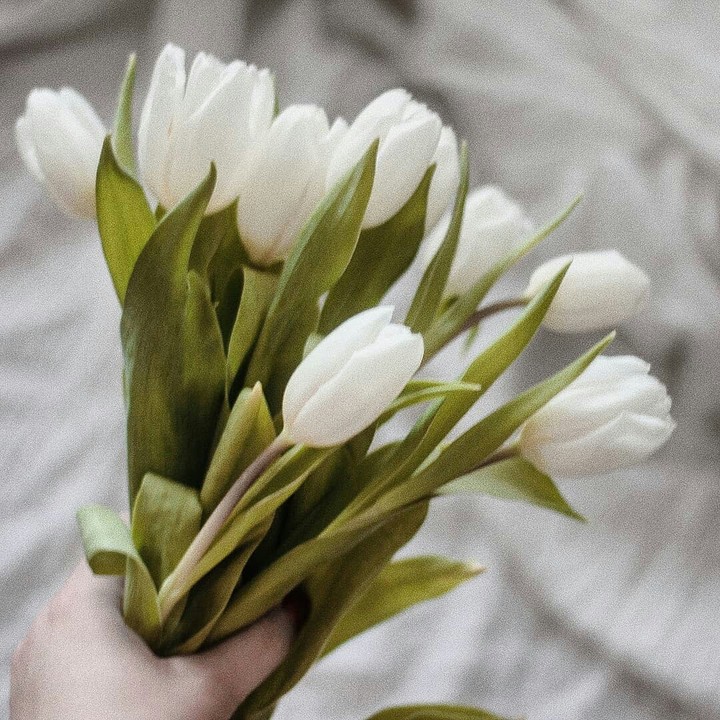 Spring ❤