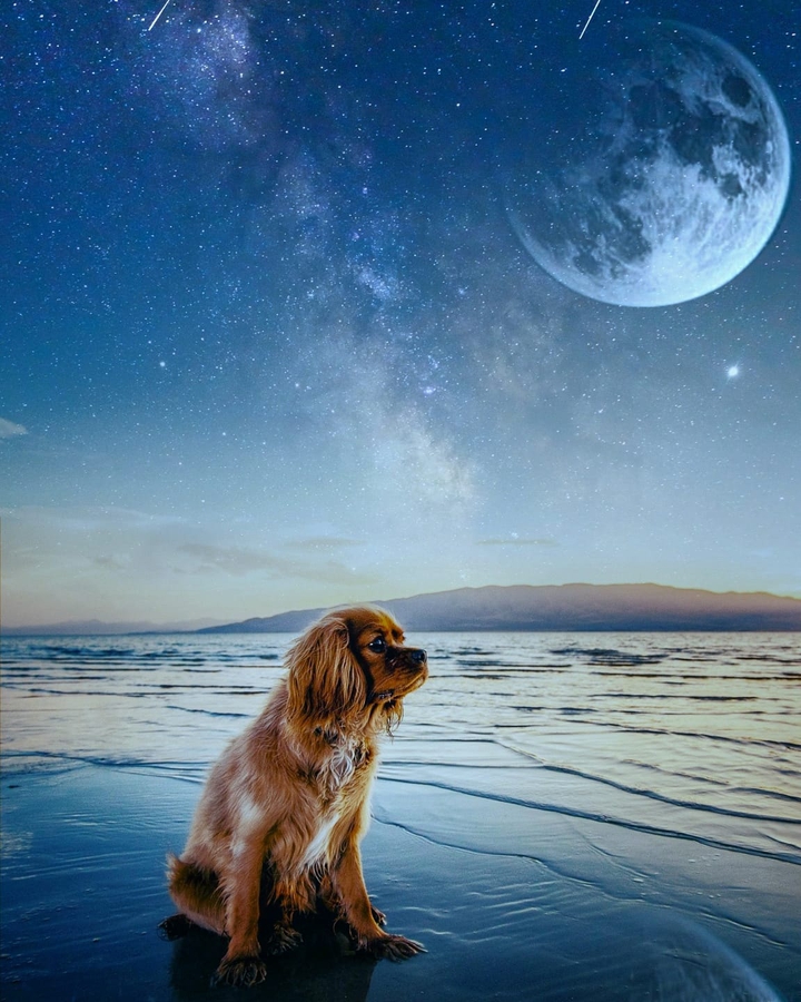 Cosmic beach