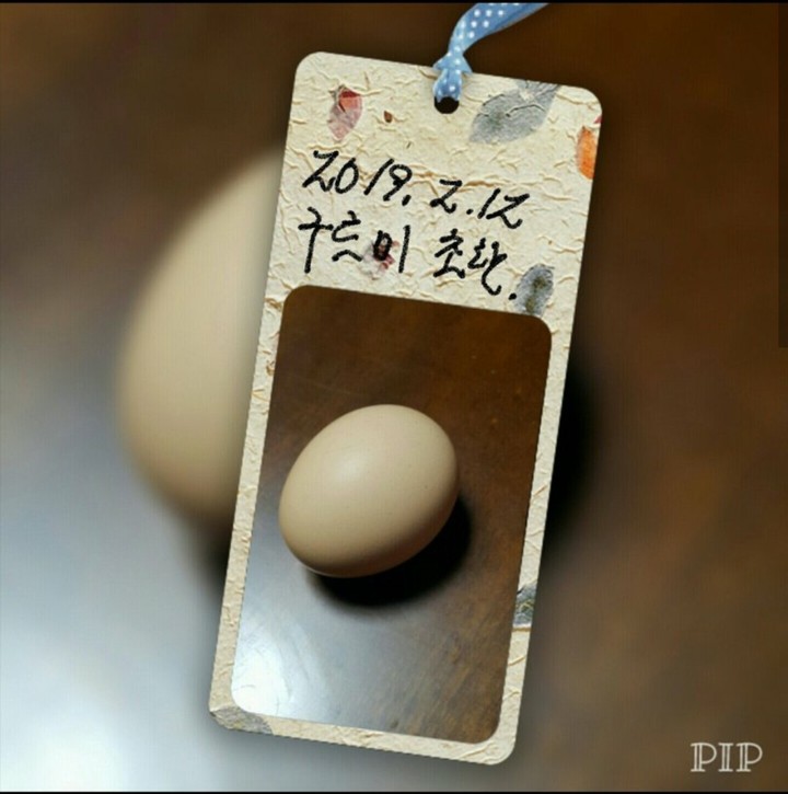 초란