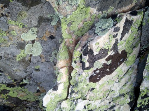 Colors of the Ural Mountaines. part2