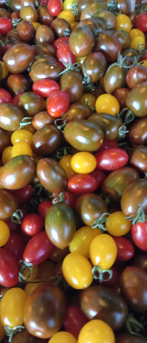 Summer delights (click)