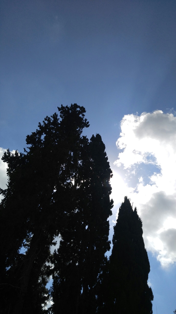 Daylight