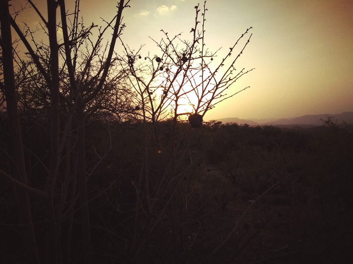 evenings