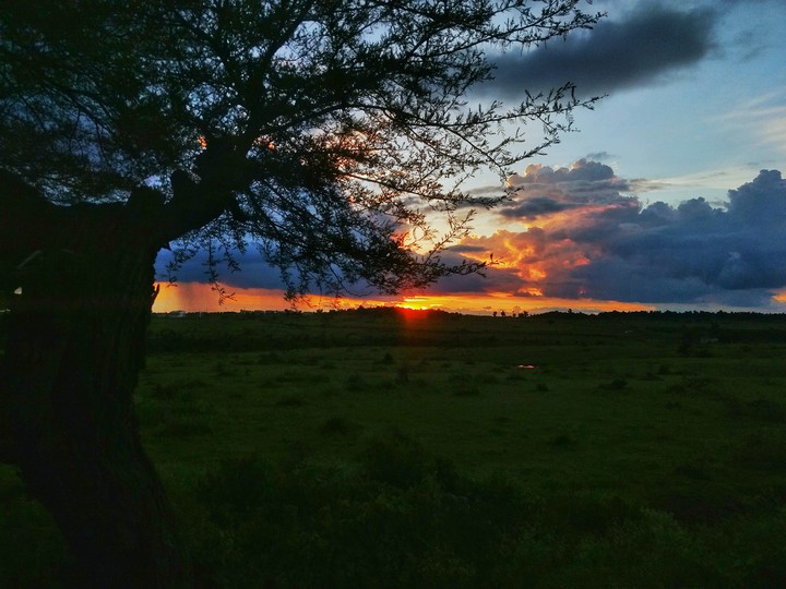 Serenity