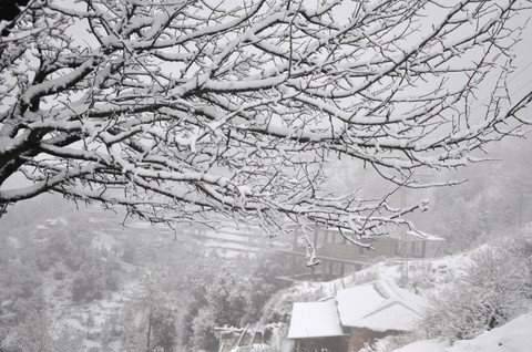winter