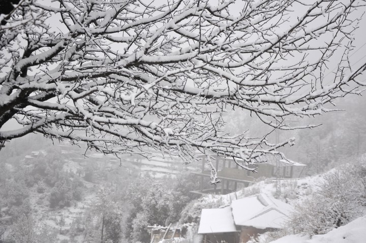 winter
