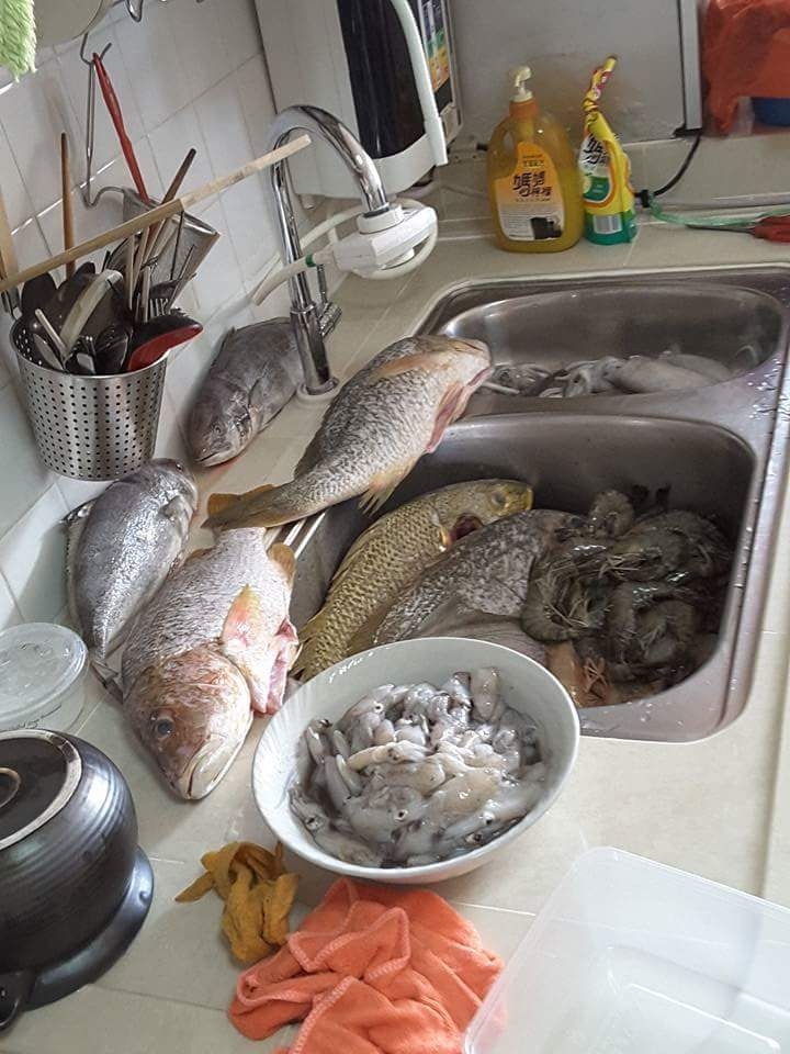 海邊釣網魚