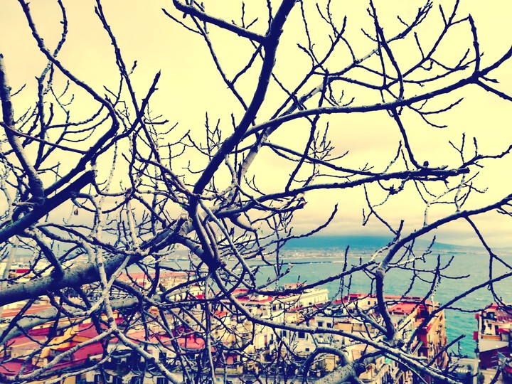 Through the branches #naples