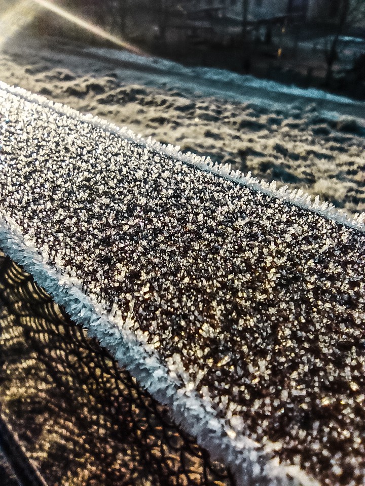 frost
