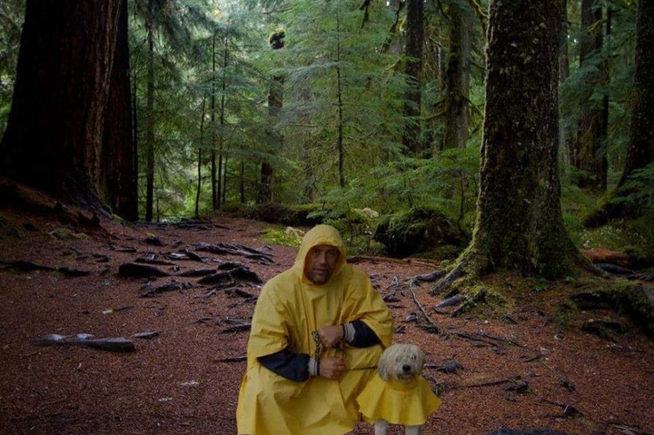Rainy Days