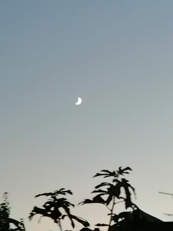 lune