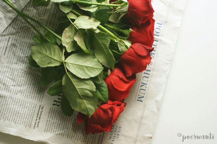 Every Rose Has Its Thorns