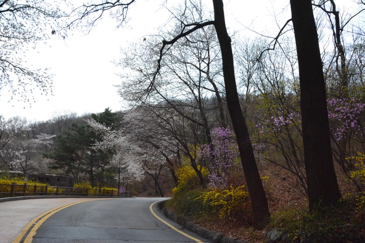 남산이미지
