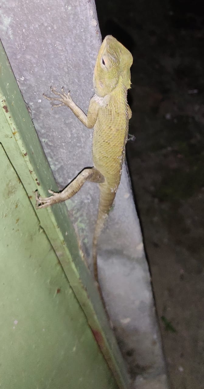 oooooo????????