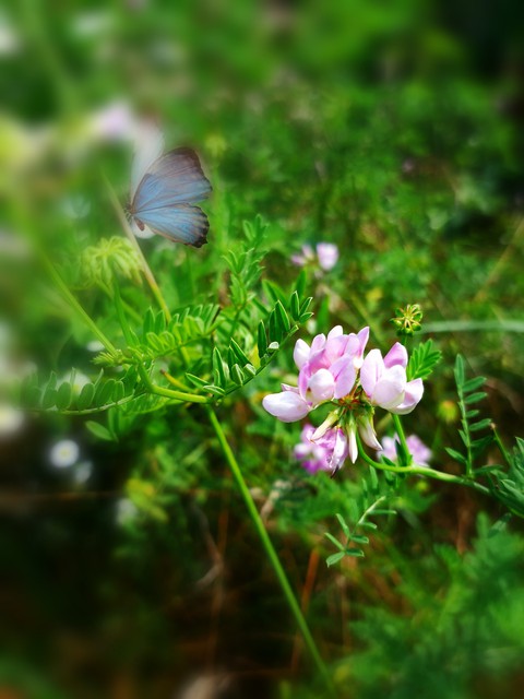 Beautiful August.