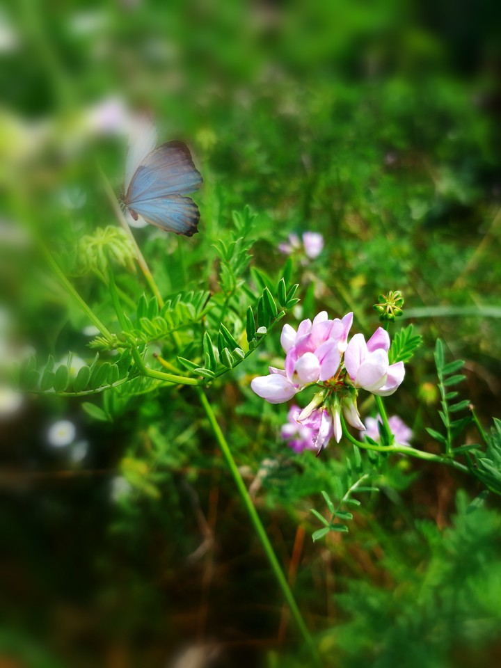 Beautiful August.