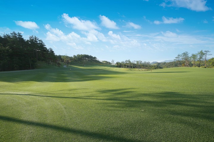 Golf Course