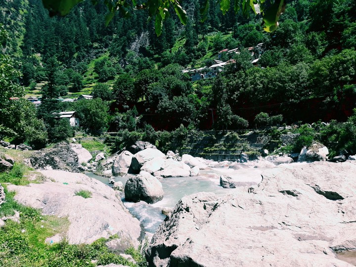 Nature
