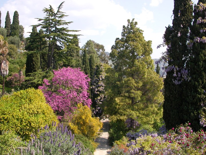 giardini hambury ventimiglia