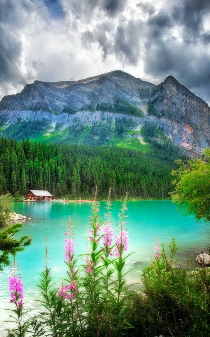 Beautiful Nature vew