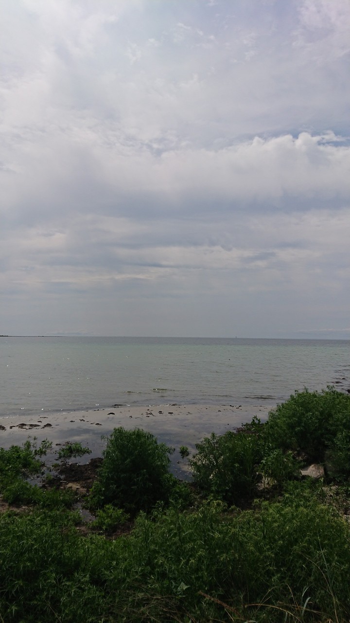 My wiew from the cottage