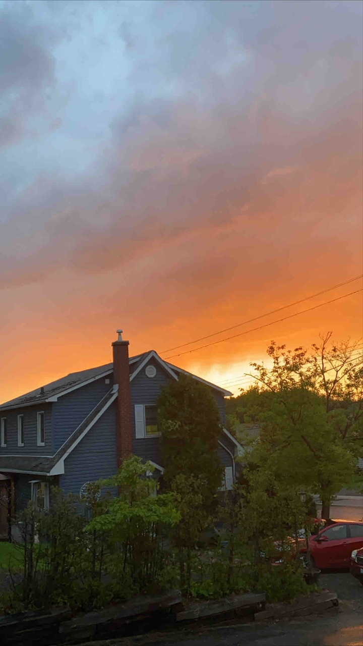 Nature’s Painting