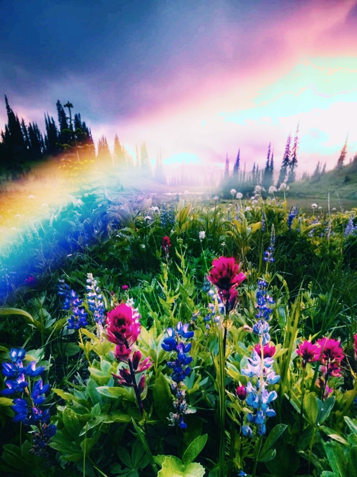 regenbogen