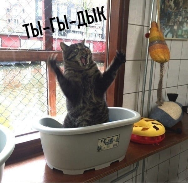 тыгыдык