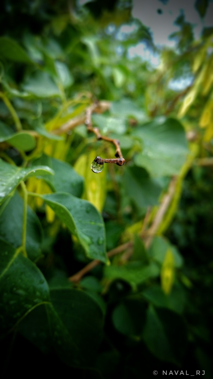 water drops