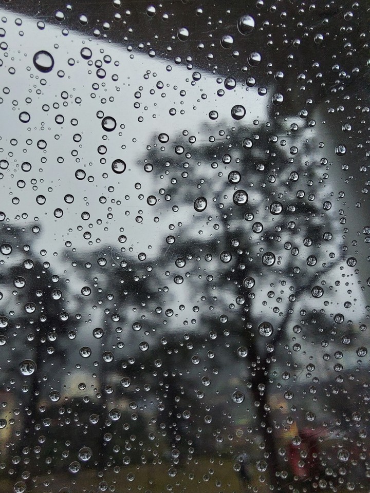 Raindrops