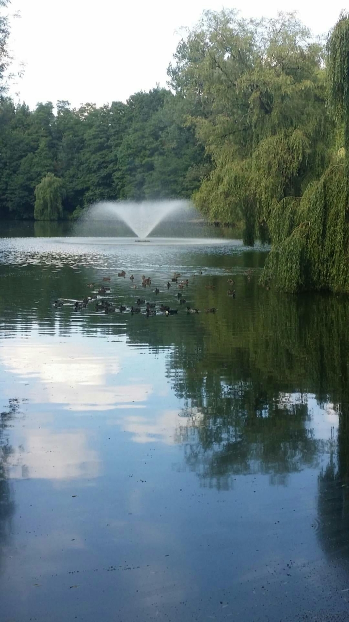 Instant Serenity