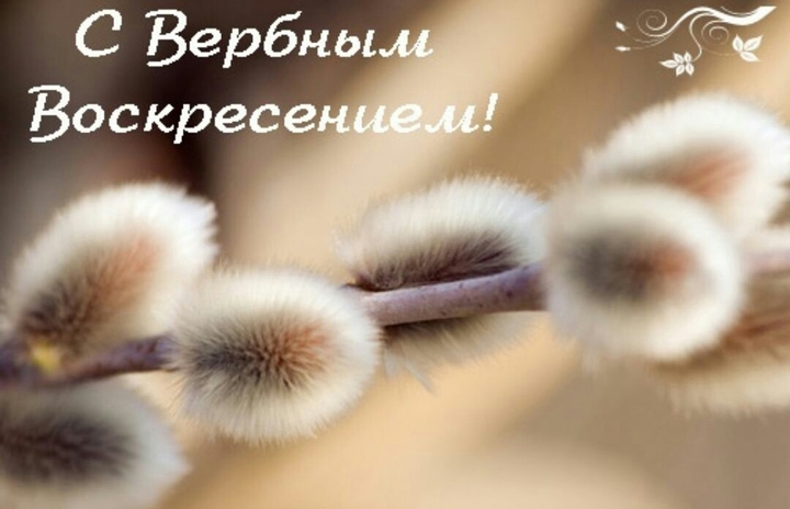 всё написано!