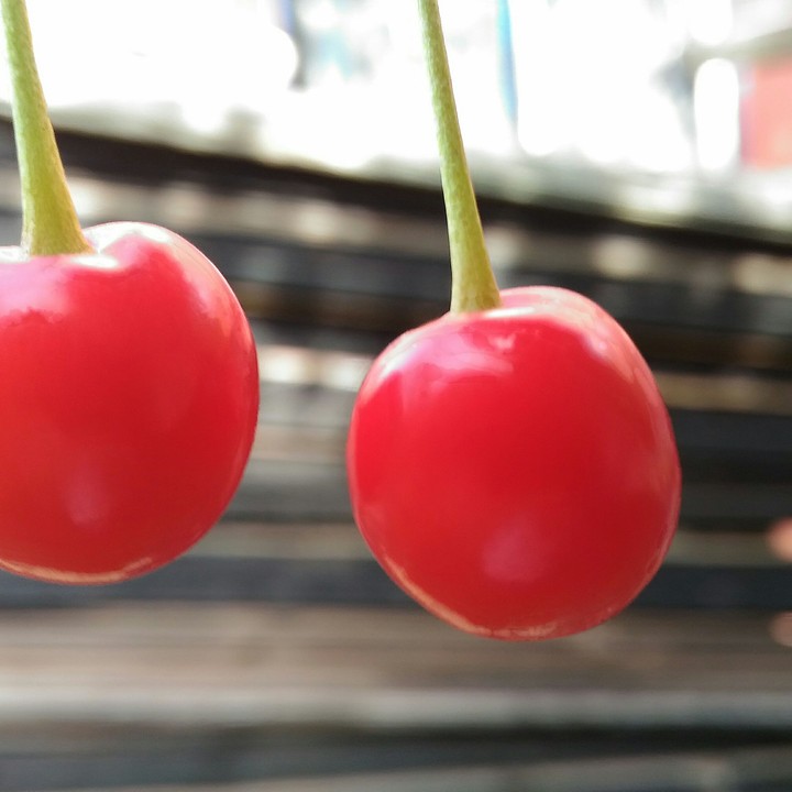 cherry