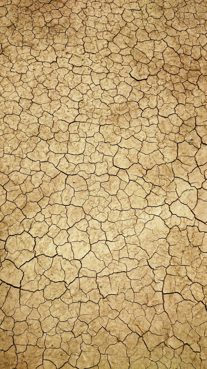 ground Texture