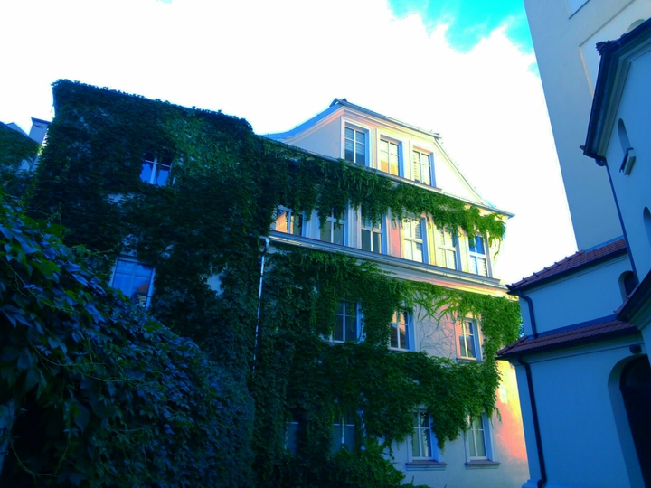 Green house