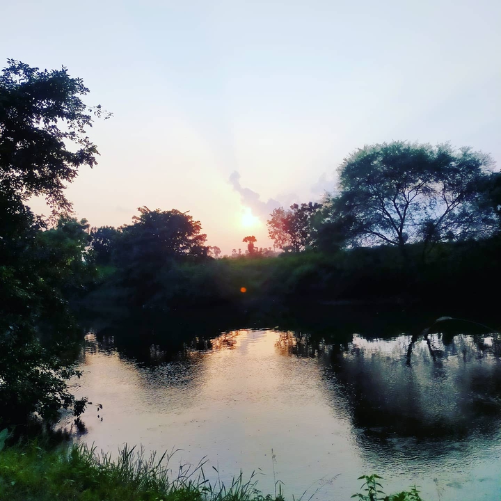 Nature