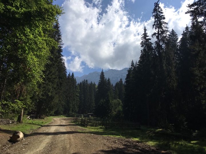 The way