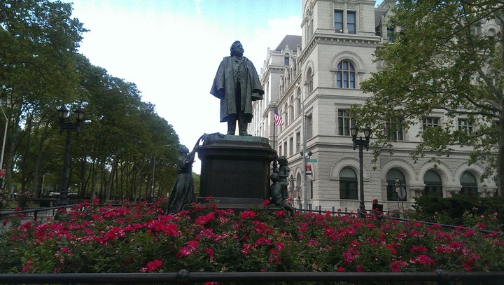 Building & Flowers
