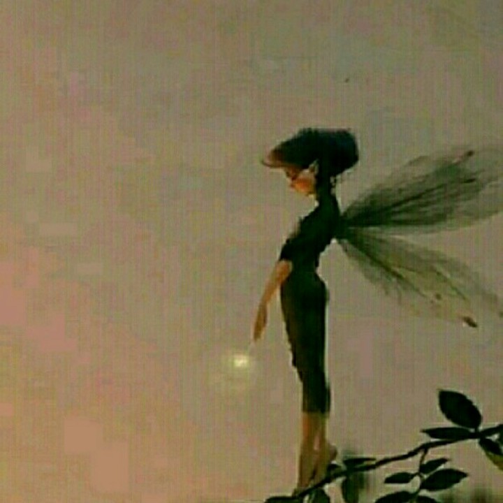 Little Fairy