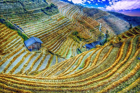 sfondi Plantation, valley