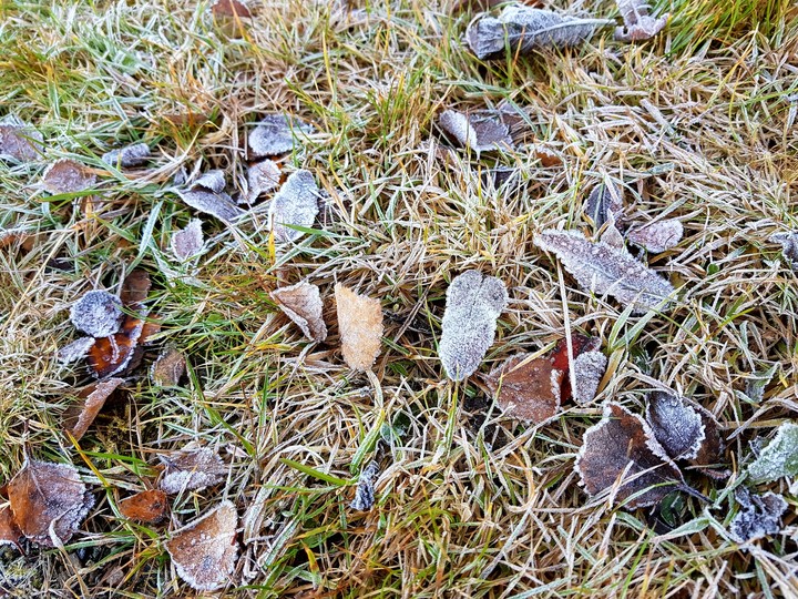 ice