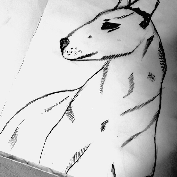 Bulterier