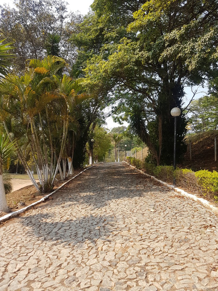 Spring way