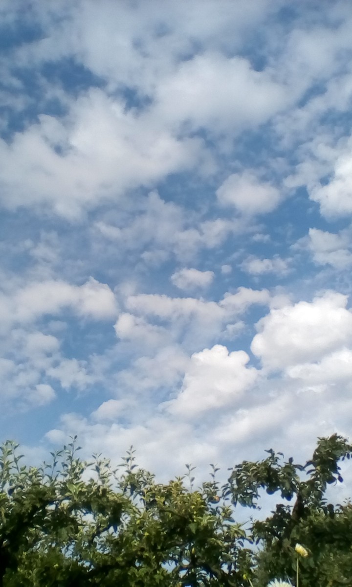 summer sky