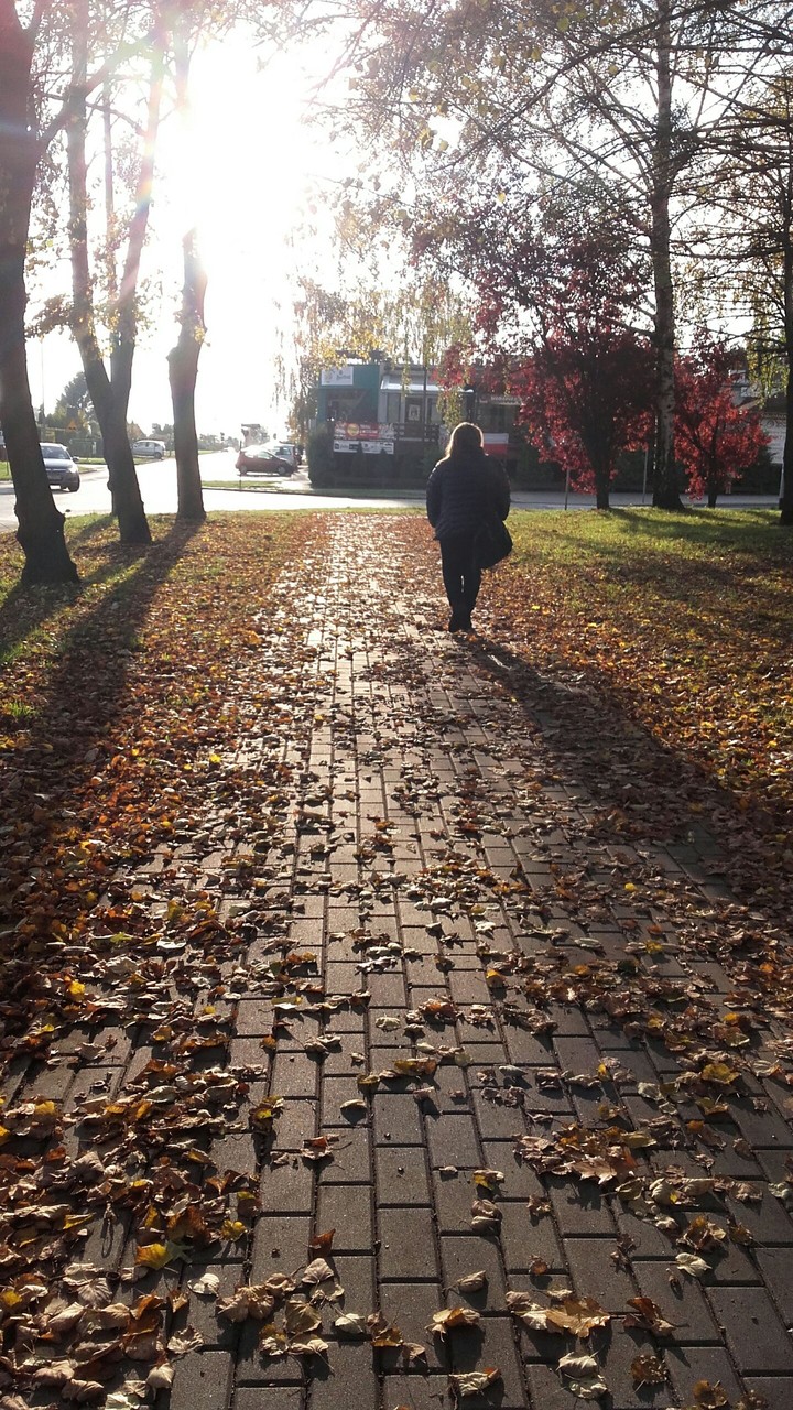 autumn