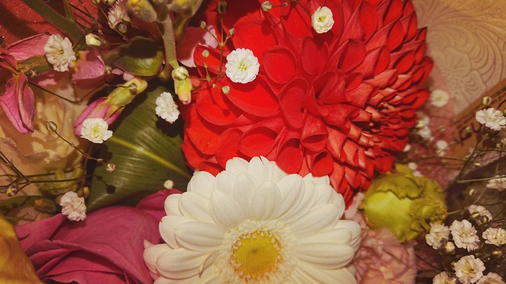 flowers