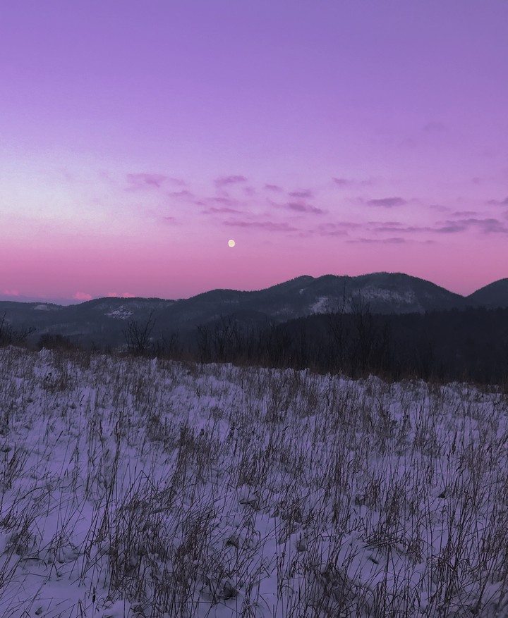 purple sky with a little moon