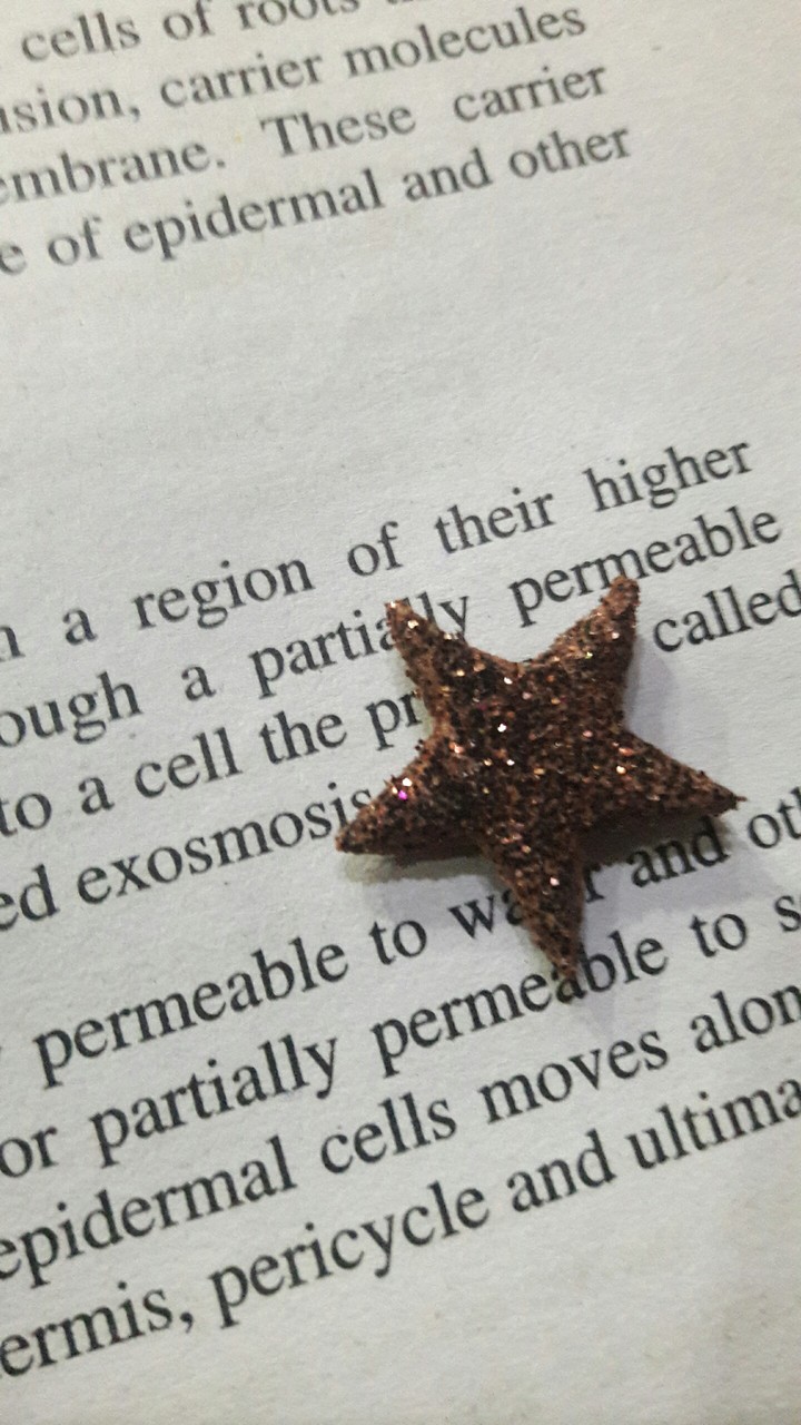 BE BRIGHT LIKE STAR☄