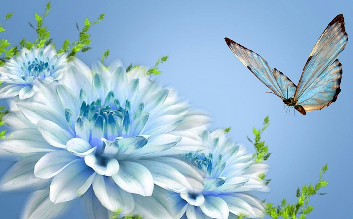 flowers