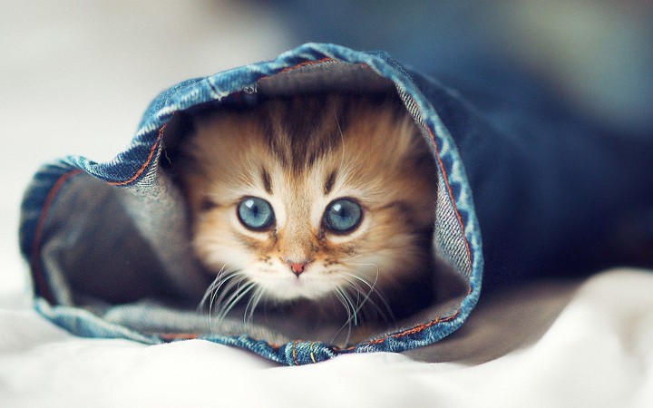 so sweet